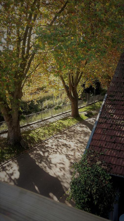 Haus Mit Seele Im Nahetal Weinsheim  Kültér fotó