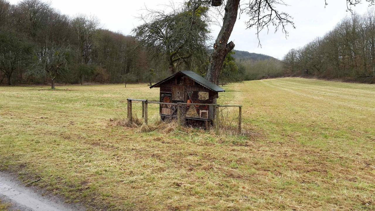 Haus Mit Seele Im Nahetal Weinsheim  Kültér fotó