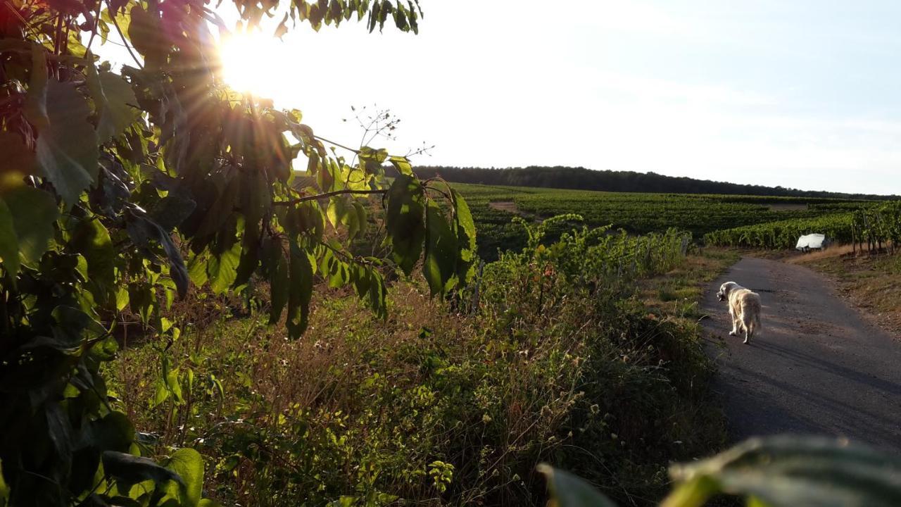 Haus Mit Seele Im Nahetal Weinsheim  Kültér fotó