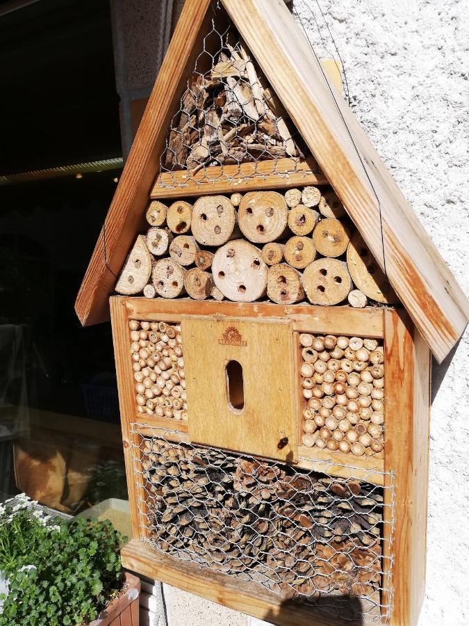Haus Mit Seele Im Nahetal Weinsheim  Kültér fotó