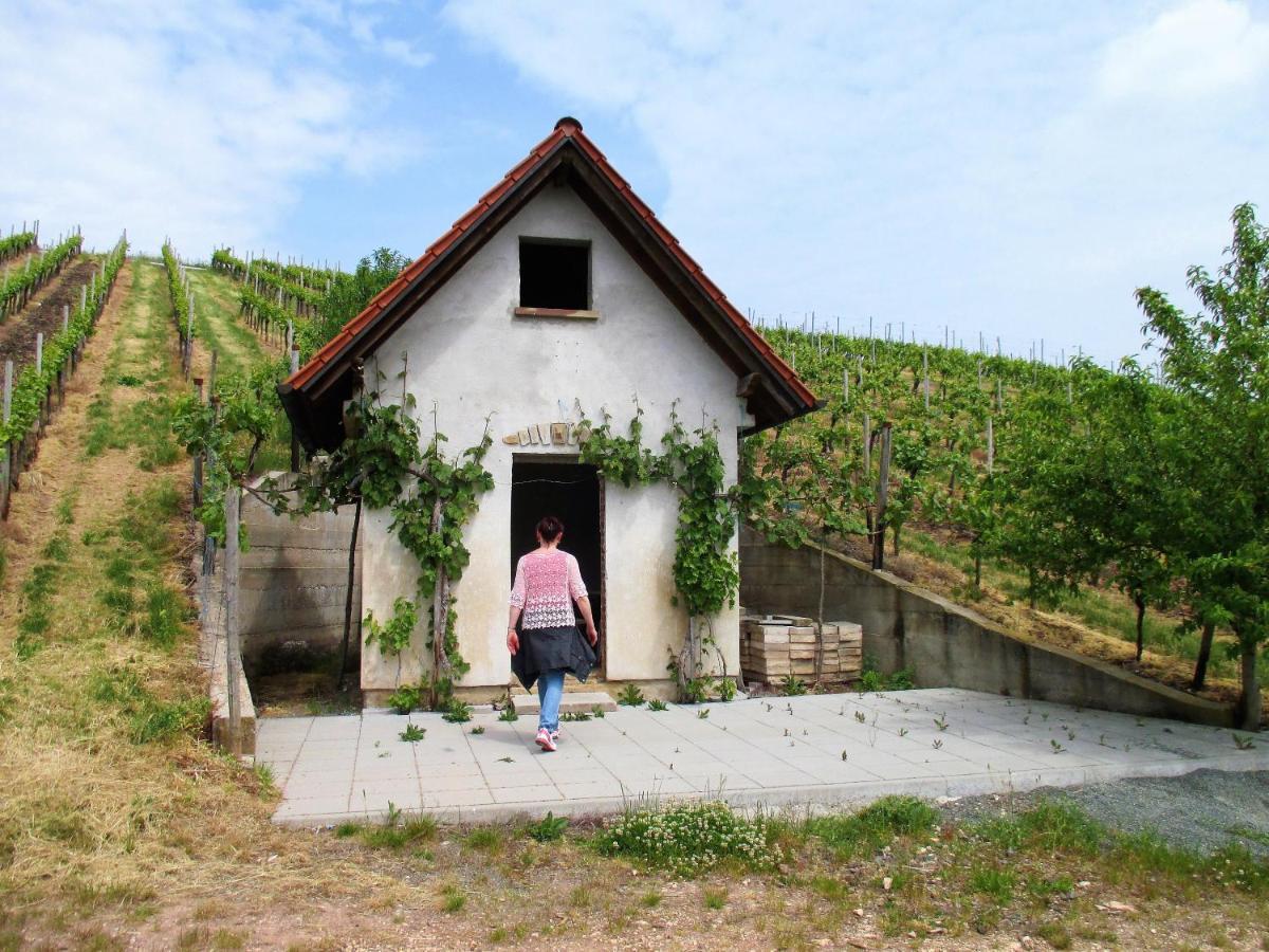 Haus Mit Seele Im Nahetal Weinsheim  Kültér fotó